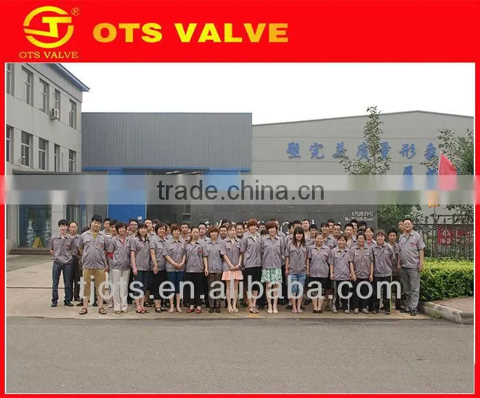 BV-DS031 CE/API body of butterfly valve for transmission