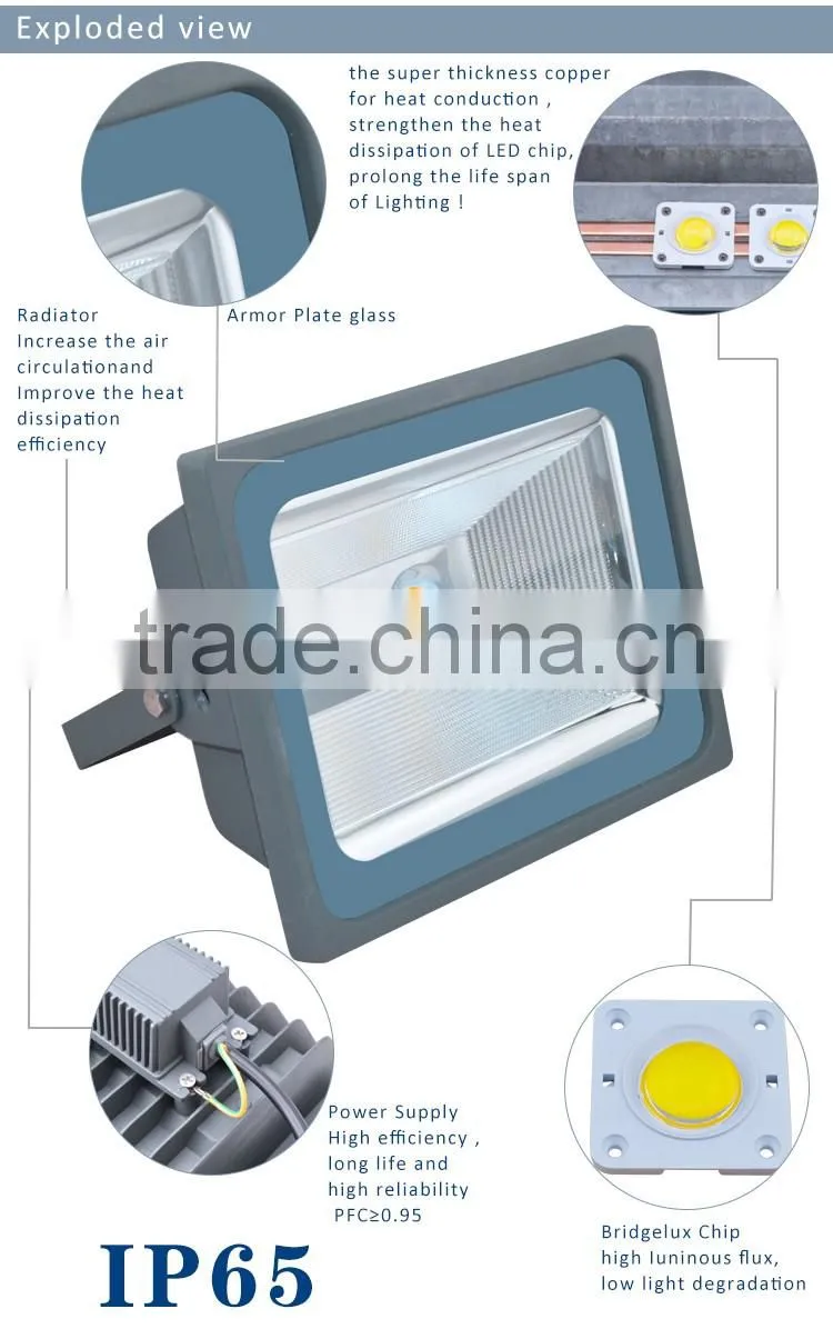 High Lumen Outdoor 50W COB LED Floodlight 100 Watt LED Flood Light