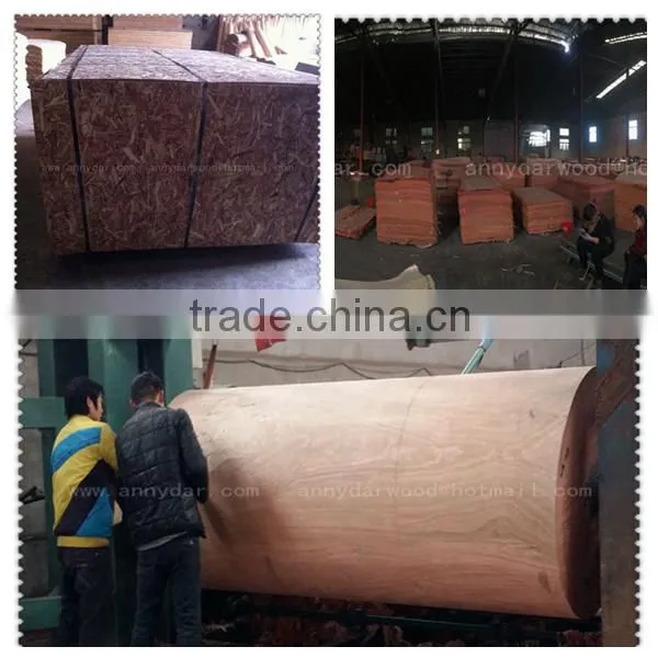 Rotary cutv Rengas wood veneer with cheap price for the thickness 0.5mm