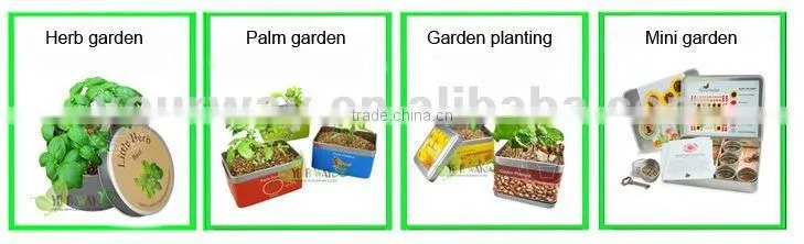 Mini Pyramid Garden, Flower Garden,lavender