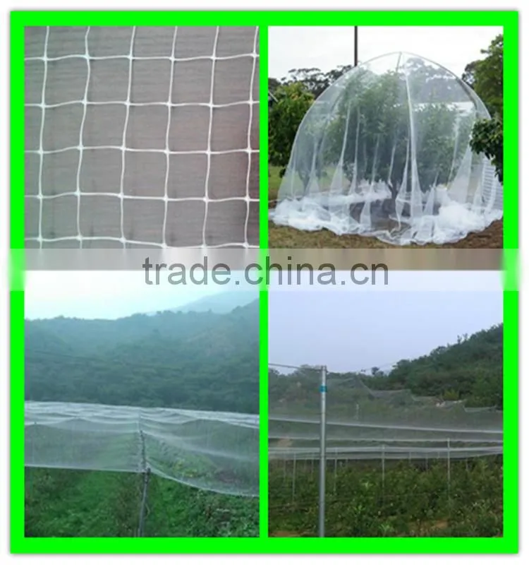high quality stretch crops field top cover bird net