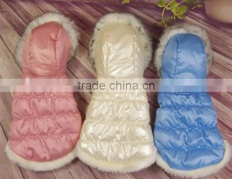 dog pet clothes