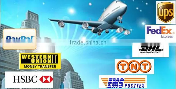 New Products 2016 Bestsellers in Car Charger Usb, Mini Usb Car Charger, Electric Cars China Bulk Usb Charger