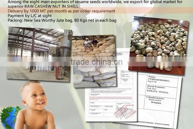 RCN/Cheap Raw Cashew Nuts in shell/African Cashew low price Outturn 47-52 Lbs/80 KGS Min(skype: ste.nanking)