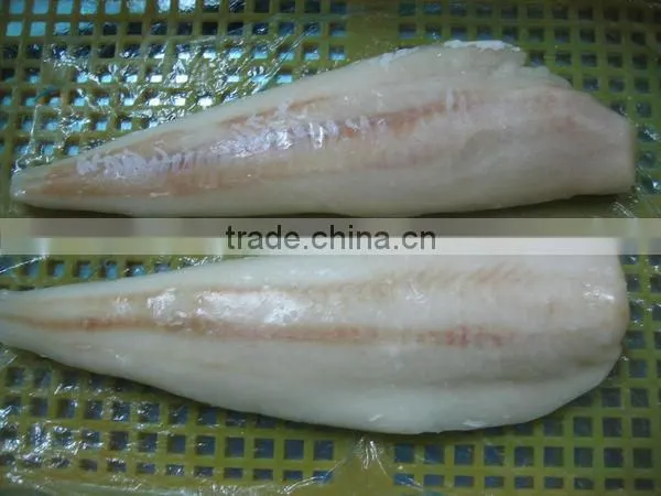 frozen cod fish cod fillet