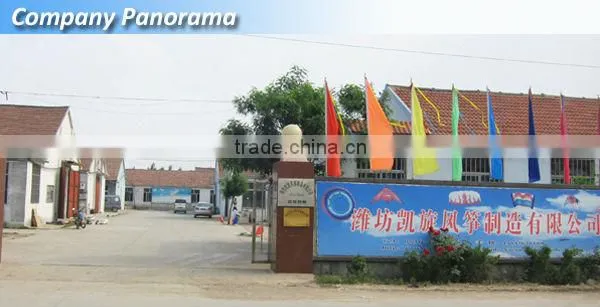Chinese Single line Cartoon Rokkakus Kite