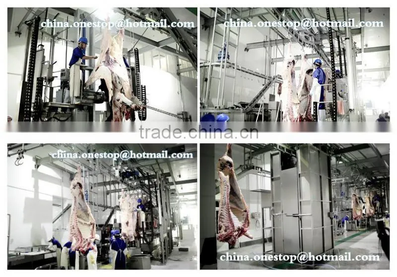 Abattoir Machine Cattle Slaughtering Equipment Halal Slaughterhouse for Cow Goat Sheep
