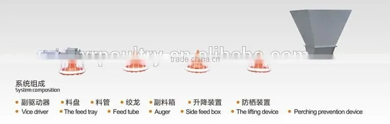 Full-auto Equipment with fan cooling pad for Poultry farm chicken house