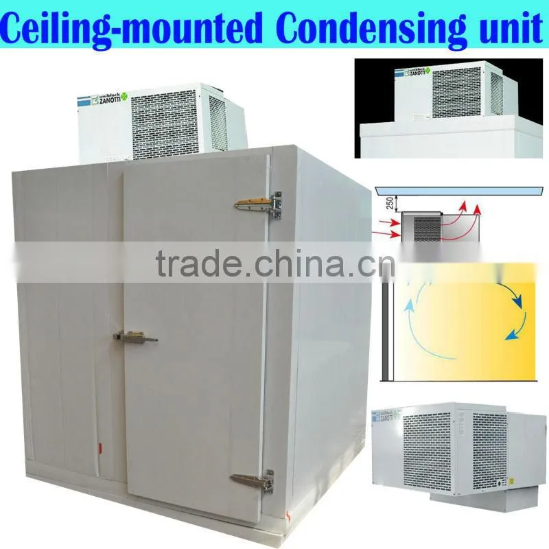 meat storage cold room (20m3 capacity)
