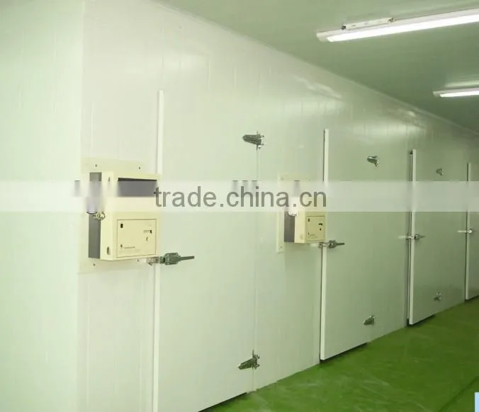Frozen Cold Room for Meat and Fish