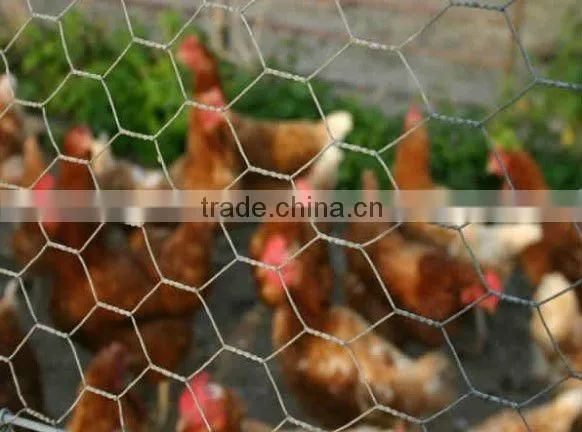 High quality hexagonal wire netting ( galvanized / pvc coated )