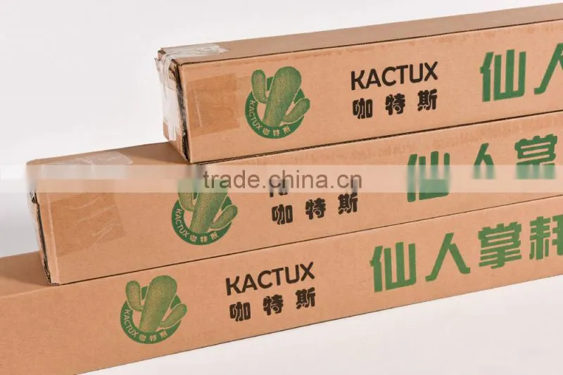 photo paper