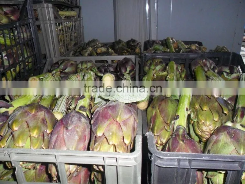 Artichokes