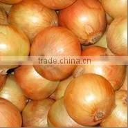 Onion