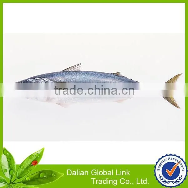 china wholesale Canned Sardine in vegetable oil