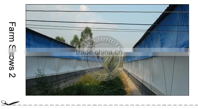 Blue , White coulor Poultry rolling curtain cloth, shade cloth volume curtain wind farms