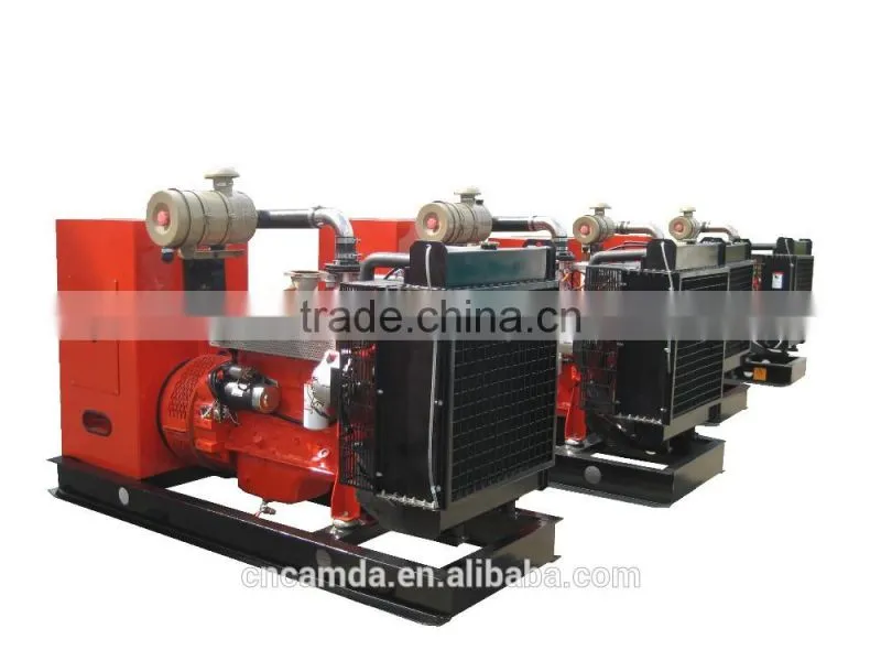 small biogas generator 30KW for sale/ waste to energy power plant