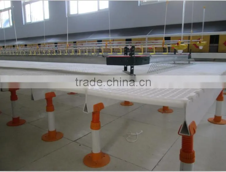 plastic chicken slat floor for sale