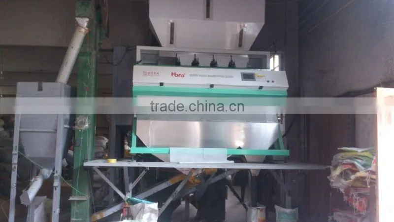 High speed line scan RGB Camera Accuracy Less Problem Big Capacity Peanuts Color Sorting Machinery from China