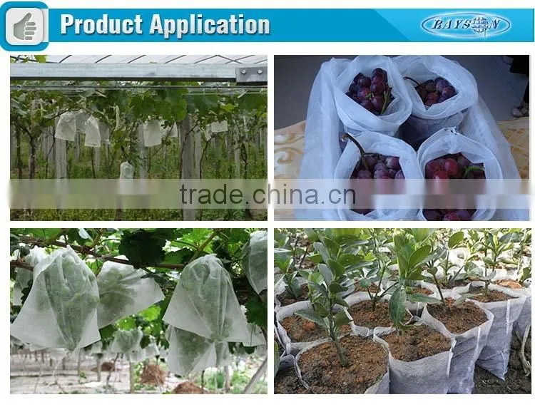 3 Years Warranty Best Sale Banana Fruit Bag / Frost Cover