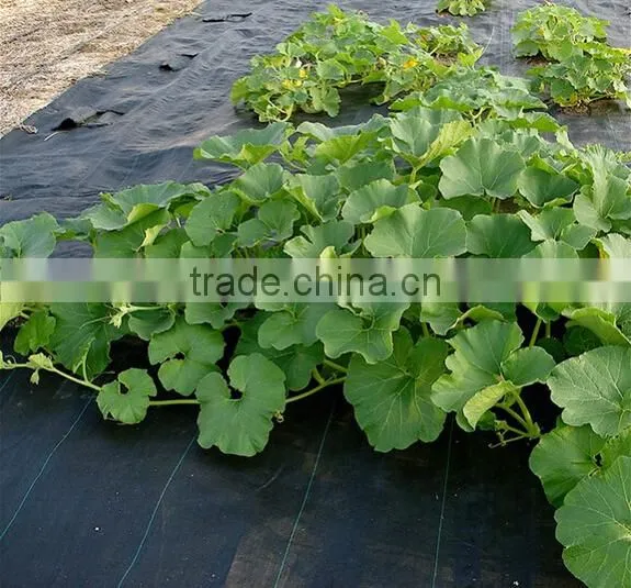 PP or PE plastic weed mat roll
