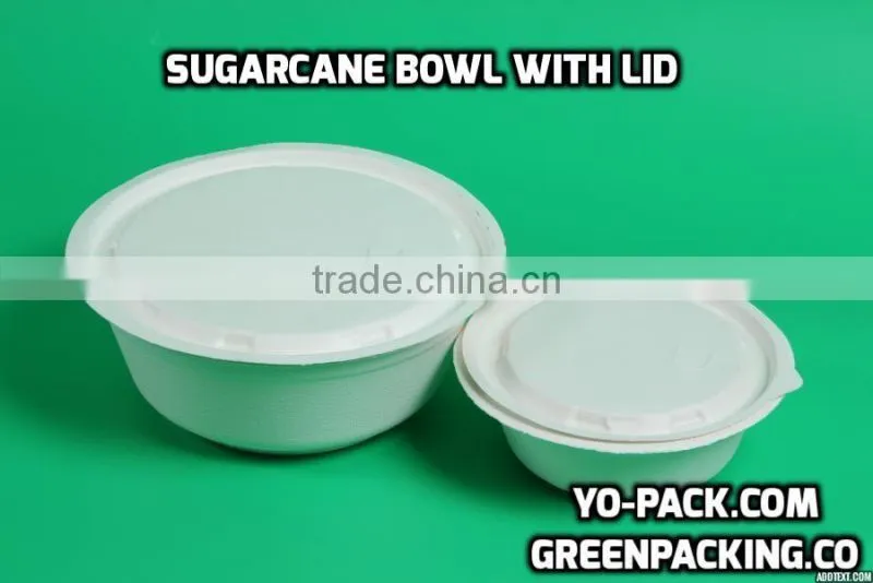 Biodegradable disposable bagasse pulp bowl