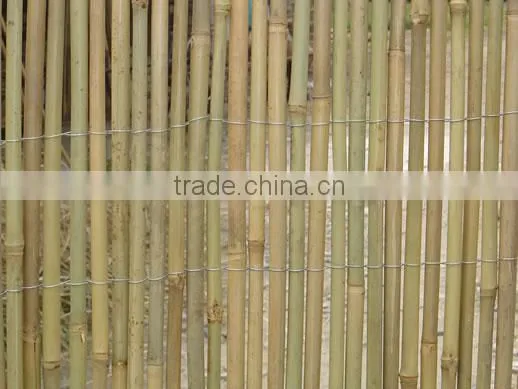 High-quality Bamboo Canes