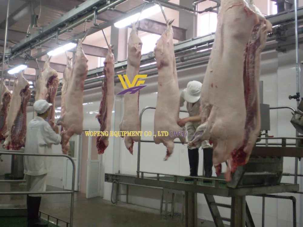 WFA pig convey rail (2)