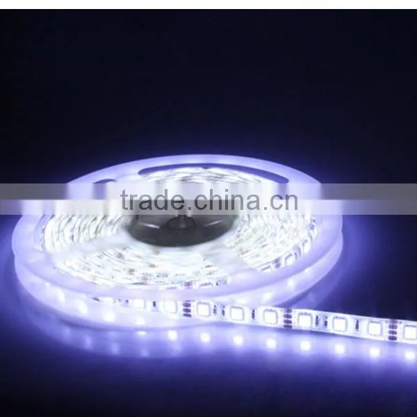 china new products Led Strip 4.8 Watt Per Meter Ip66 Led Strip Rgb300leds Strip Light