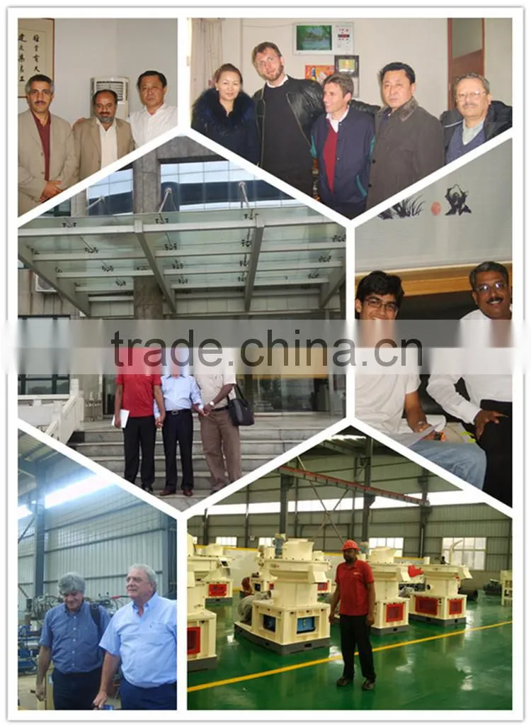 energy saving machine HMBT small feed pellet processing machine made in china