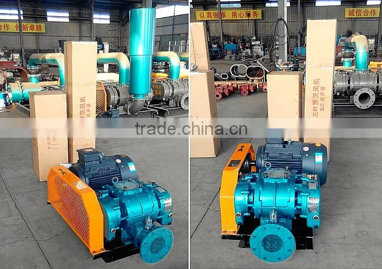 LRB low pressure roots blower