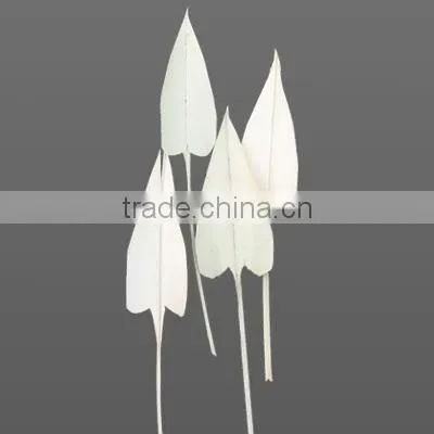 Palm- Arrow- Leaves