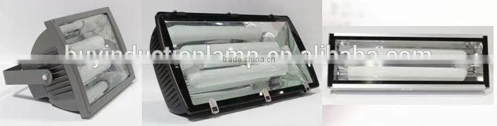 100w Hydroponic Growing Plant Induction Grow Lamp