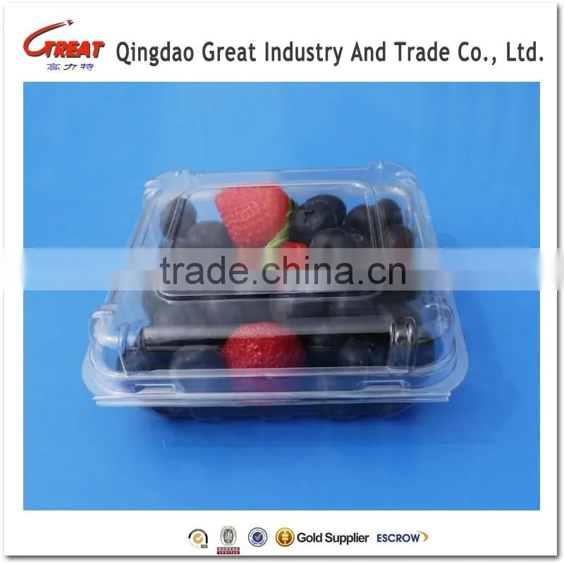 Regular Plastic Small Square Fruit Bluebrries Container