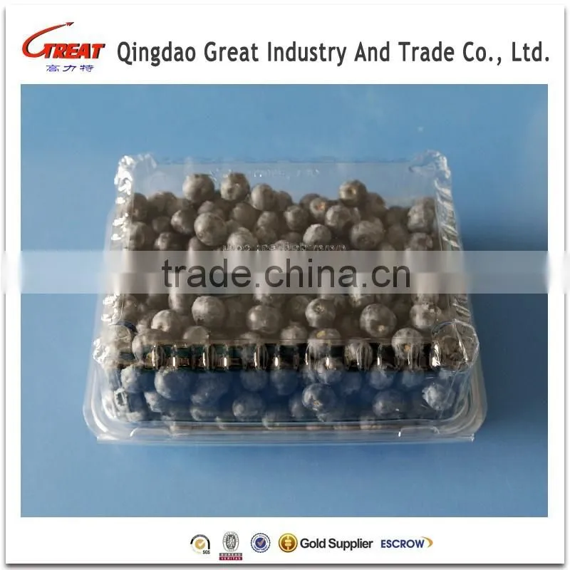 Clear Transprate Plastic Fruit Packaging Container for blueberry