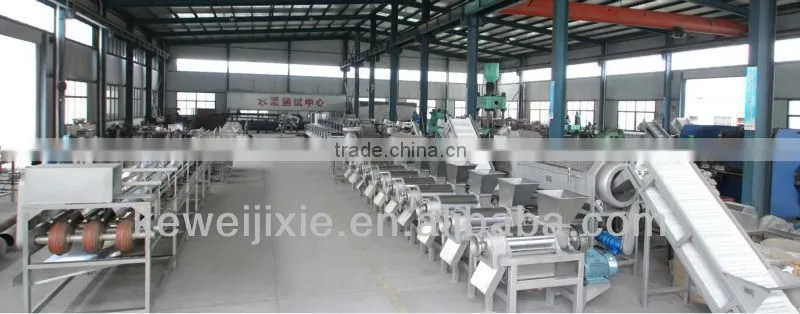 DXJ multi-layer fruit sorting machine