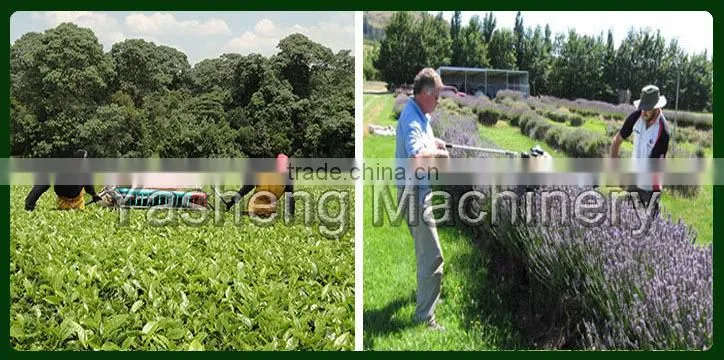 High Quality Tea Harvesting Machinery for Sale