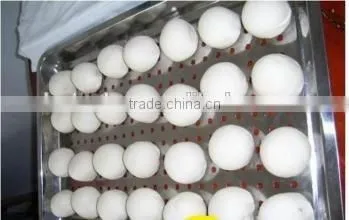 round sreamed bun making machine / commercial dough ball maker