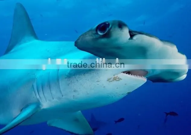 High Quality Shark Statue for Theme Park