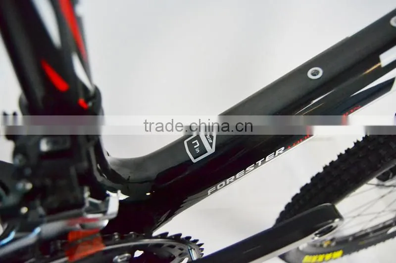 2014 hot selling MTB carbon complete bike for sale