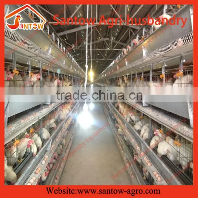 Stable steel structure professional chicken egg layer cage chicken egg layer house