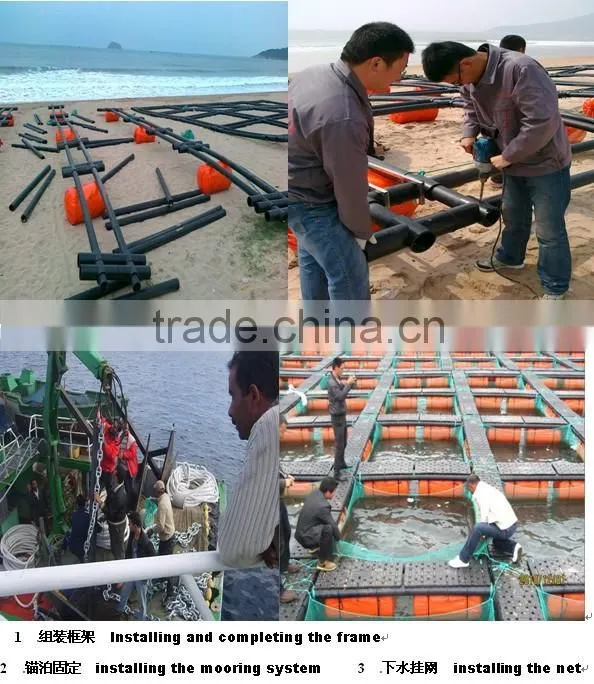 tilapia fish farming cages in rivers