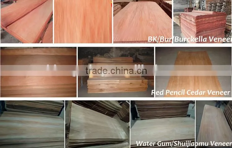 Red Olive Veneer