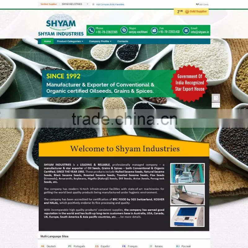 Alibaba Online Website Design