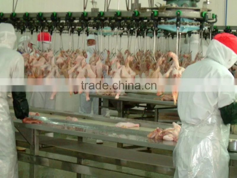Poultry Chicken Automatic Eviscerating line, Evisceration Line for Poultry Goose Duck Broiler Chicken Slaughterhouse