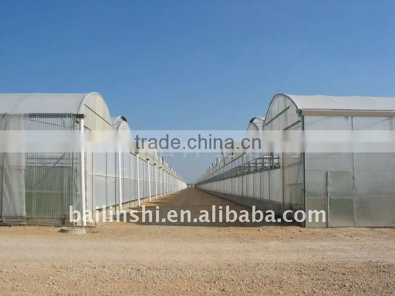 10 years guarantee of polycarbonate sheet