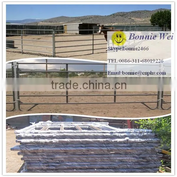 fence pipe panel for farm(factory & trader)