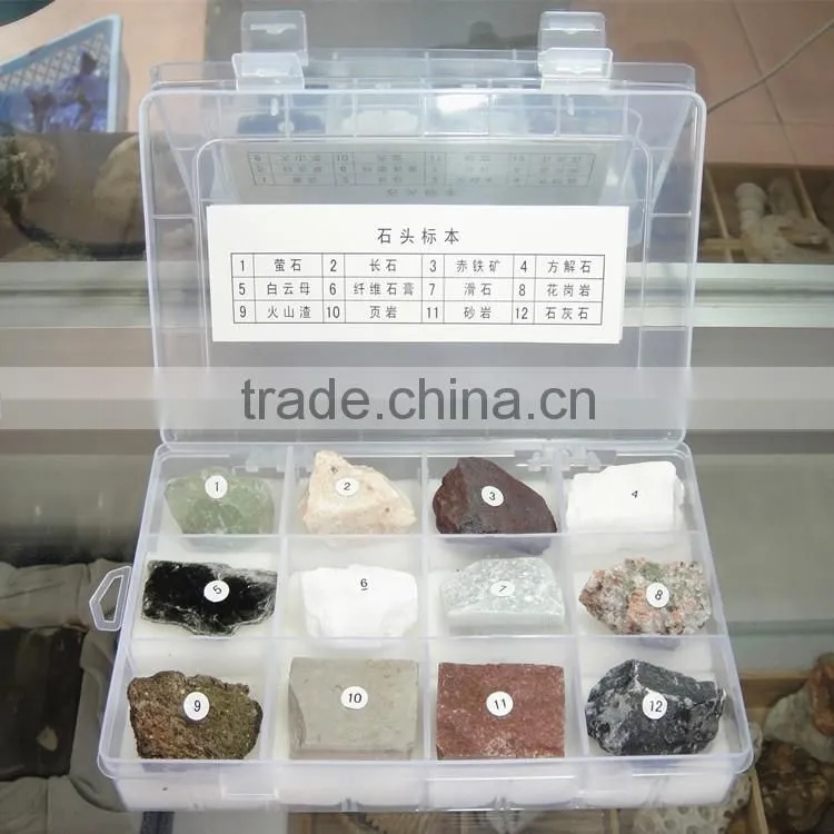 12 kinds stone specimen