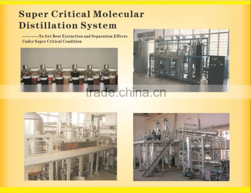 Molecular Sieve Generator Price