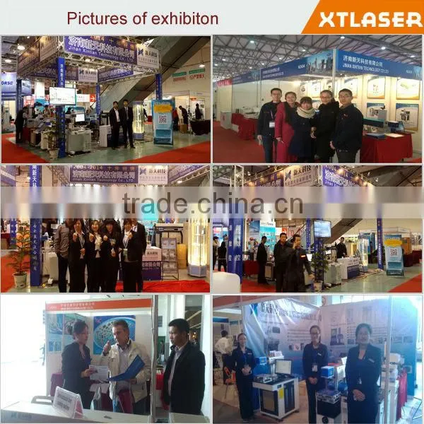 Equipments producing Portable laser marking machine hunst for animal ear tag